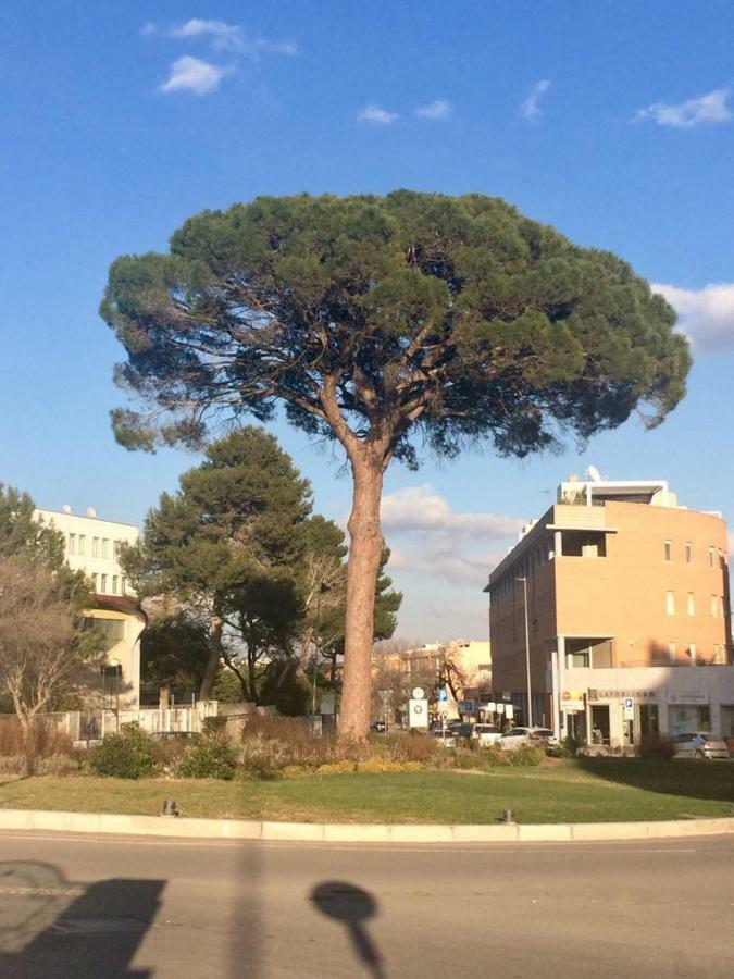 Residence Al Pino Matera Exterior photo